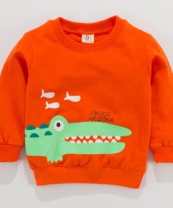 2020 Baby Boys Sweatshirts Winter Spring Autumn Pullover Children Hoodies Panda Long Sleeves Sweater Kids T-shirt Jacket#P30